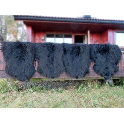  4 Sorte langh�ret skinn fra island