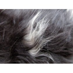 Saueskinn fra Island i naturlige farger