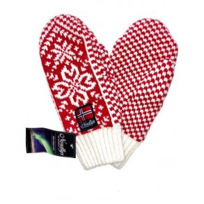 Nordlys  Turist ullvotter