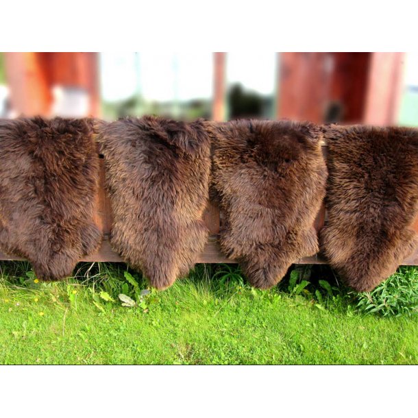 4  brune saueskinn